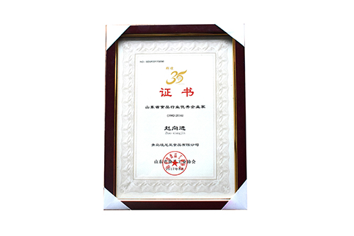 优秀企业家证书