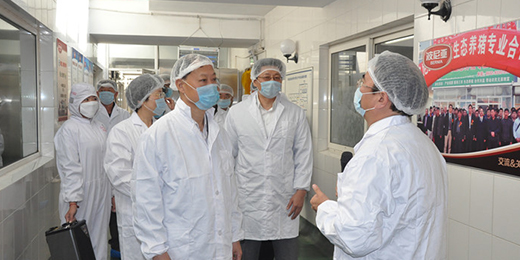 市人大常委会主任王文华一行视察波尼亚食品工业园