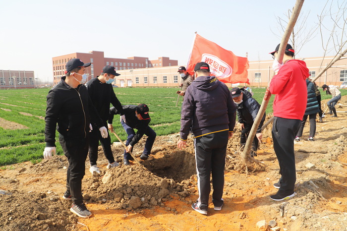 波尼亚集团组织开展植树活动